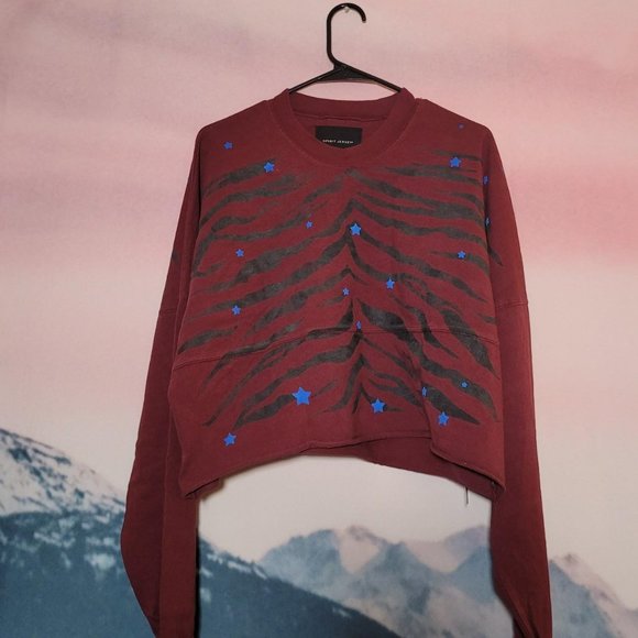 Spirit Jersey Cropped Sweatershirt - Picture 3 of 4